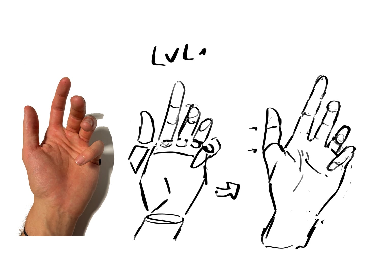 Hand Drawing References